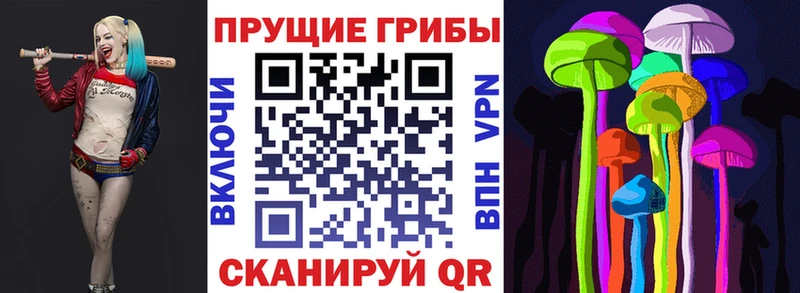 Галлюциногенные грибы Magic Shrooms  Купить  Петухово 